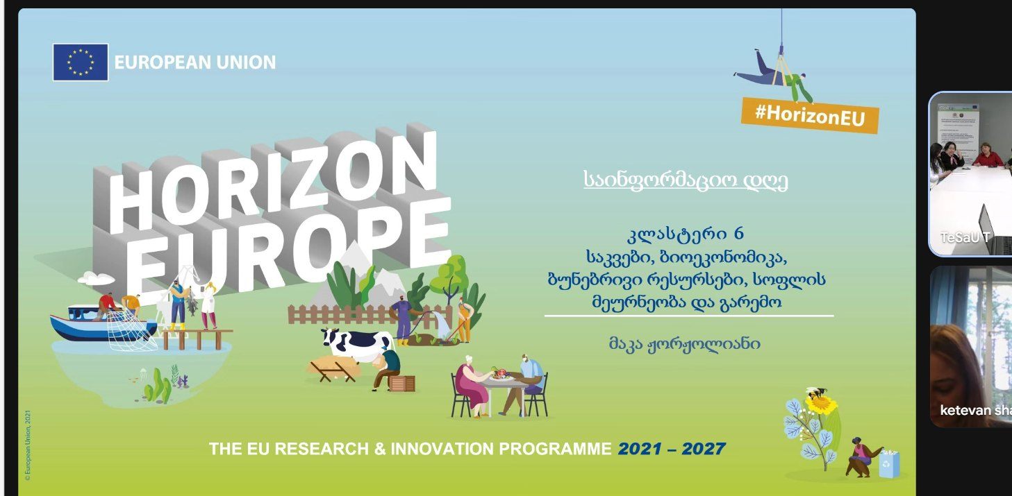 Horizon Europe Information Day at Telavi State University